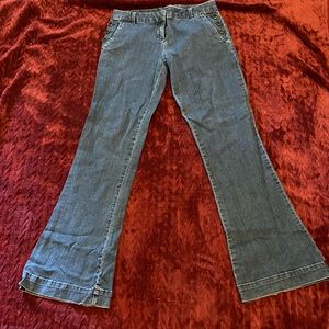 The Limited Denim Flare Jeans.